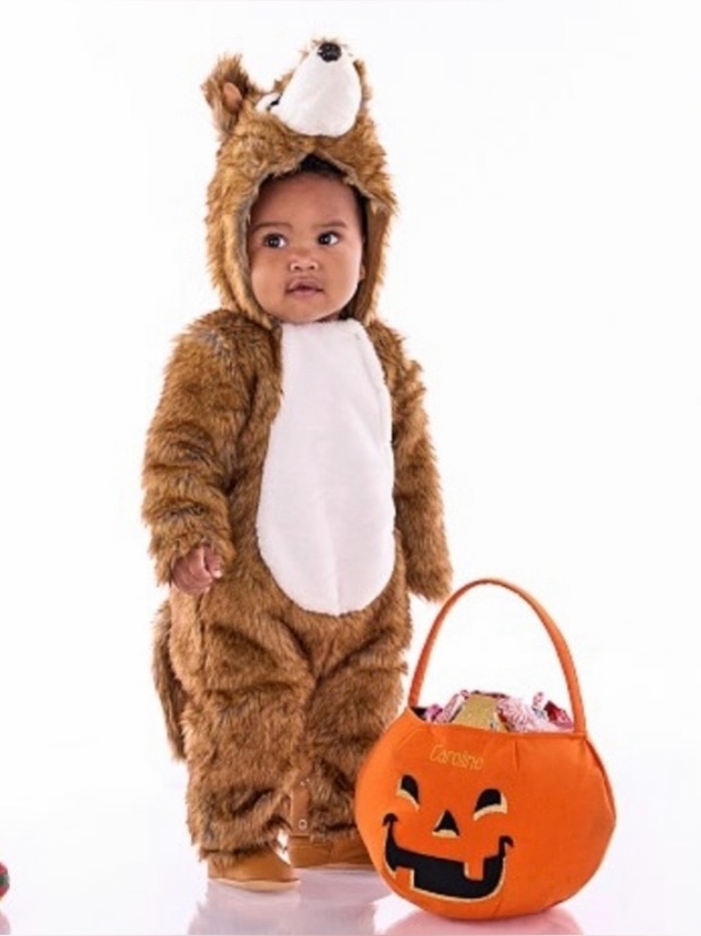 Pottery Barn kids wolf